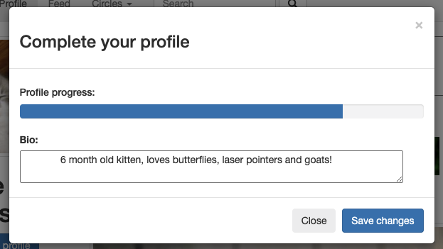 Screenshot of the Complete Your Profile dialog in Friendpurr