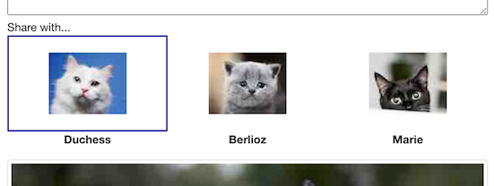Screenshot of the part of the Friendpurr site where you can share, where the controls are not labelled